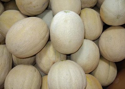 Image of Cantaloupe